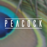 [Dohtheme] Peacock Style